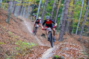 090 43DSC 6739 (Copy)